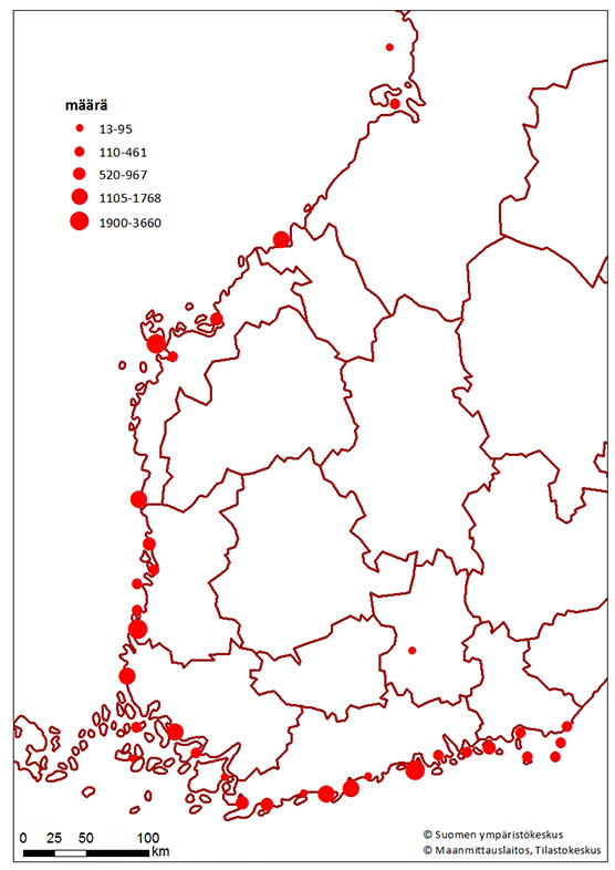 Kartta merimetson alueelliset pesämäärät 2021.